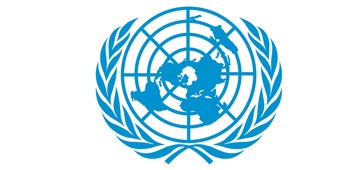 BİRLEŞMİŞ MİLLETLER